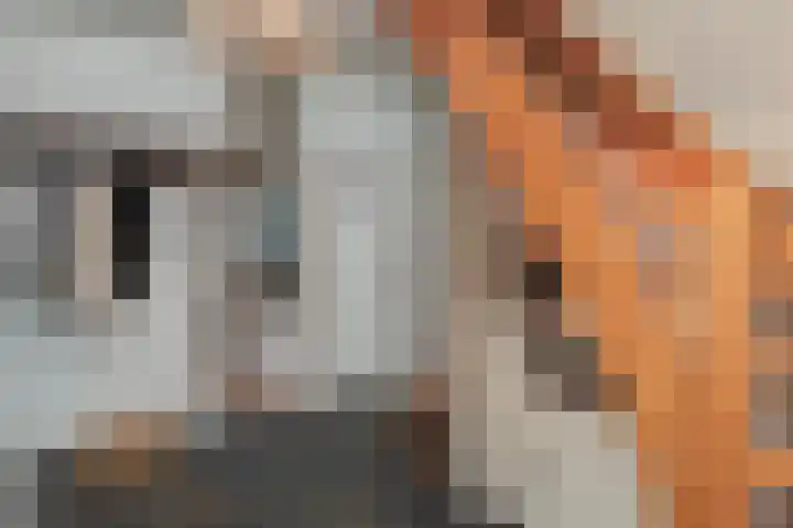 Kerkweg 10 Wezep thumbnail 6