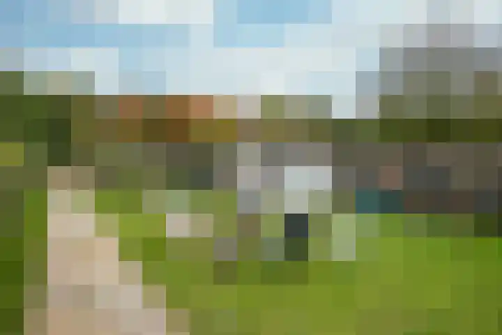 Kerkweg 103 Maria Hoop thumbnail 30