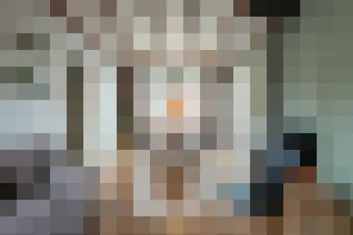 Kerkweg 103 Maria Hoop thumbnail 7