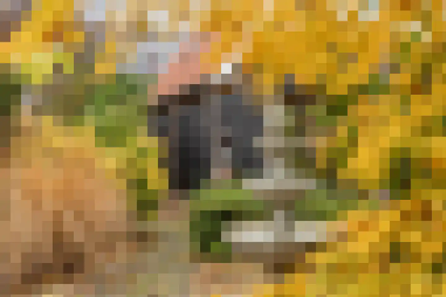 Kerkweg 11 Barendrecht thumbnail 33