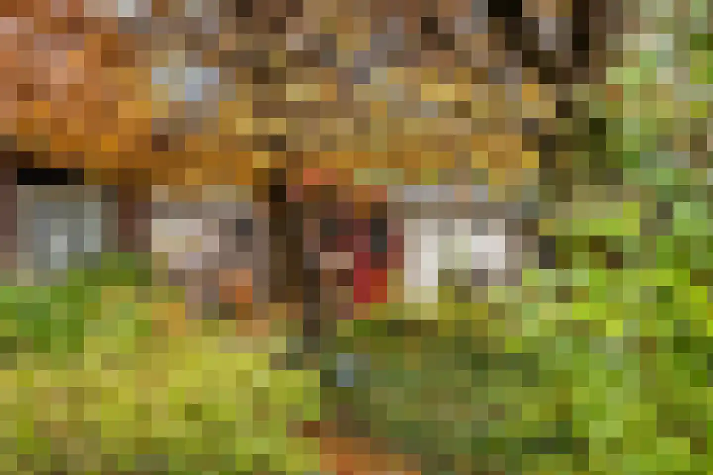 Kerkweg 11 Barendrecht thumbnail 34