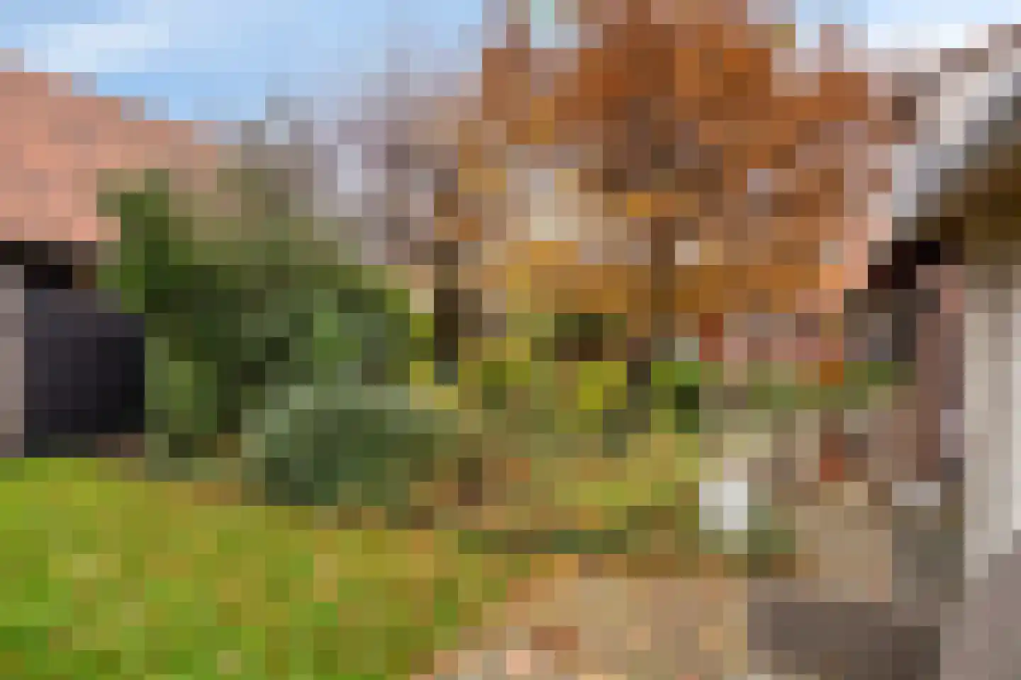 Kerkweg 11 Barendrecht thumbnail 36