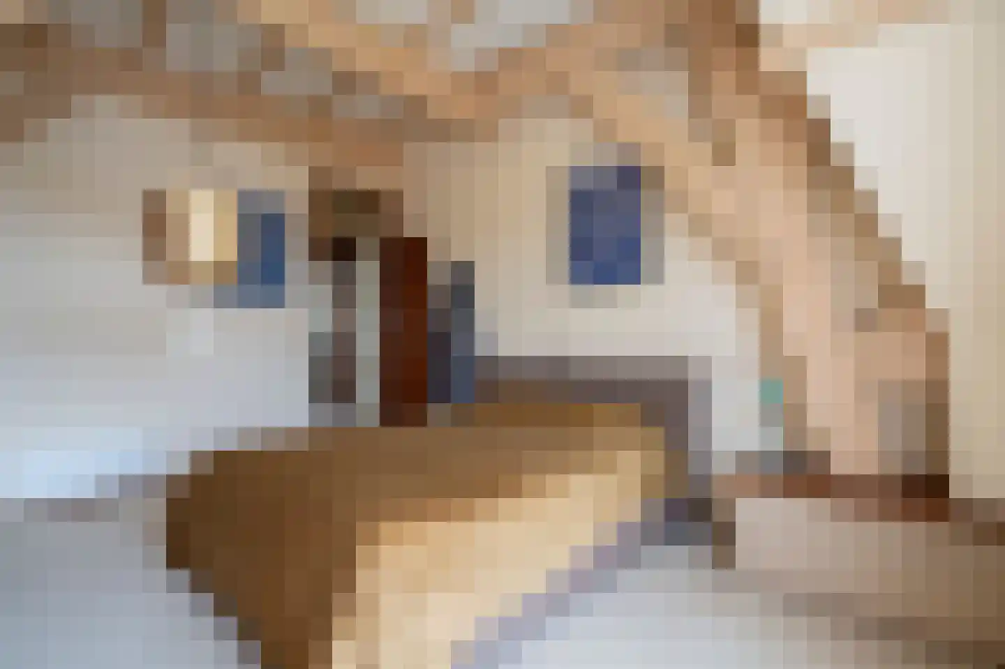 Kerkweg 11 Zijderveld thumbnail 23