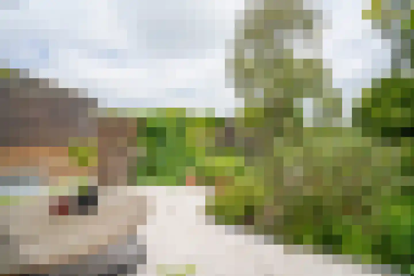 Kerkweg 11 Zijderveld thumbnail 36