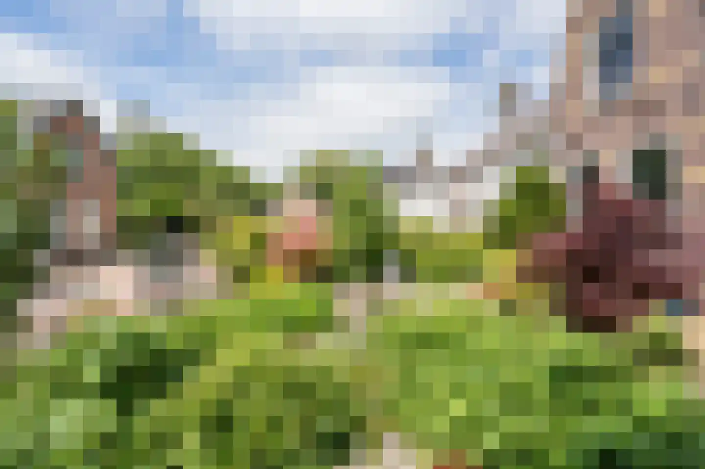 Kerkweg 11 Zijderveld thumbnail 43