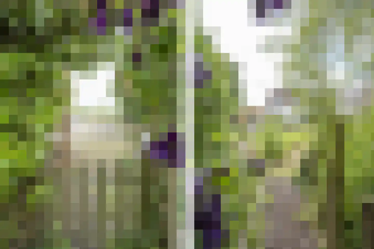 Kerkweg 11 Zijderveld thumbnail 6