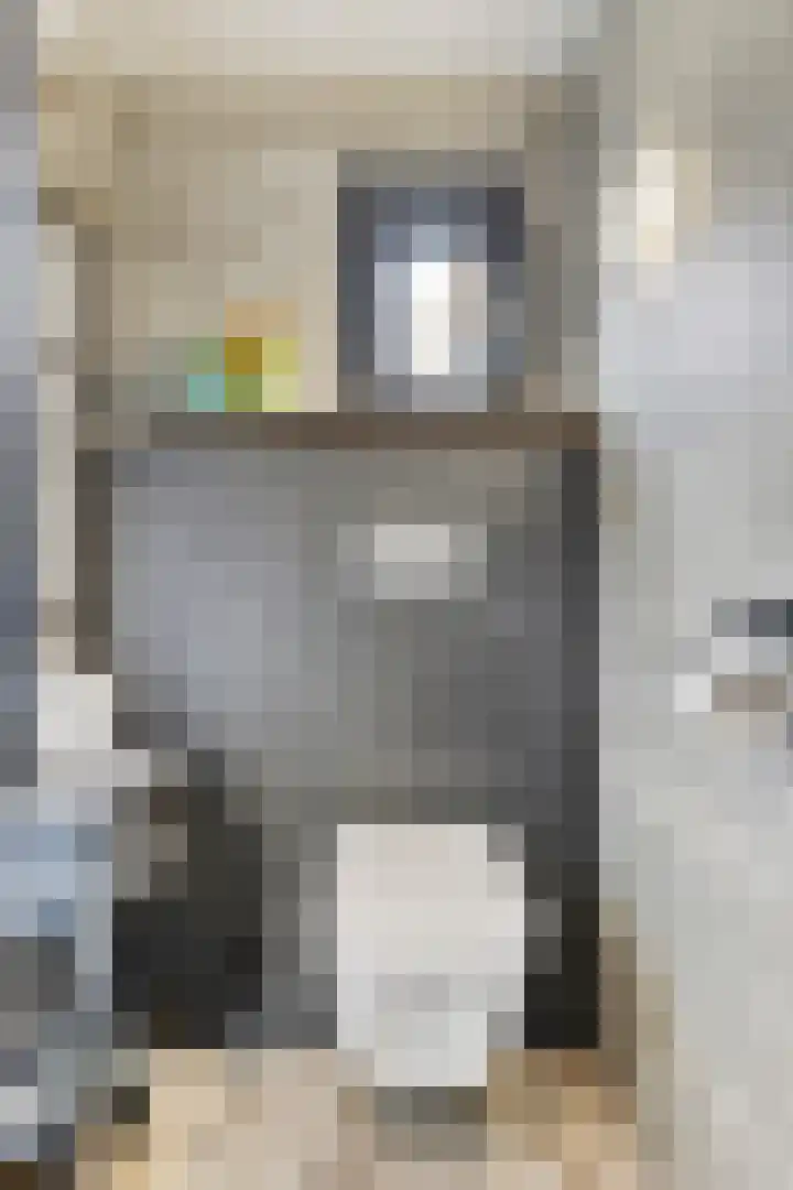 Kerkweg 114 Ridderkerk thumbnail 15