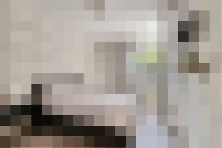 Kerkweg 114 Ridderkerk thumbnail 20