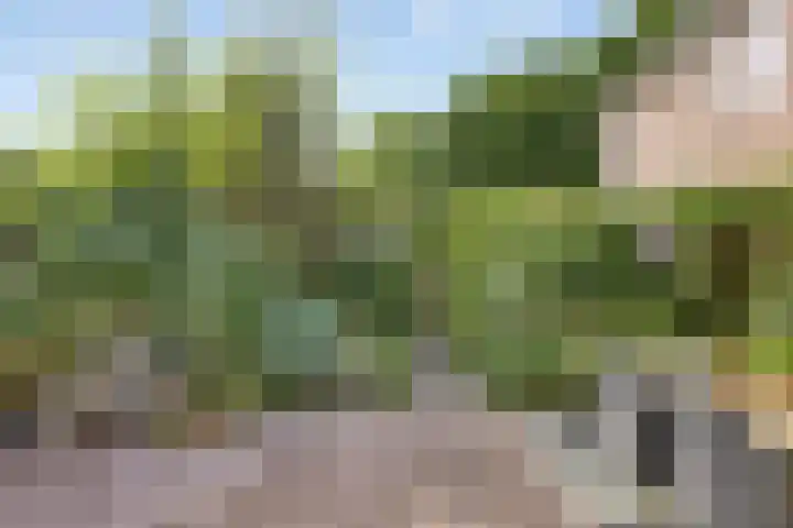 Kerkweg 114 Ridderkerk thumbnail 32