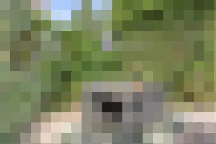 Kerkweg 114 Ridderkerk thumbnail 33