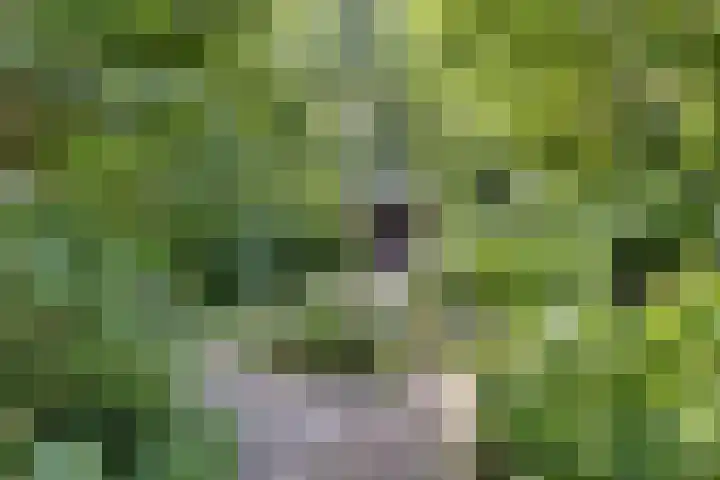 Kerkweg 114 Ridderkerk thumbnail 34
