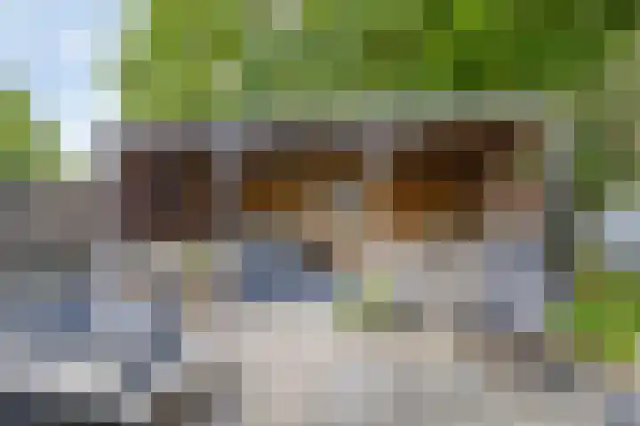 Kerkweg 114 Ridderkerk thumbnail 35
