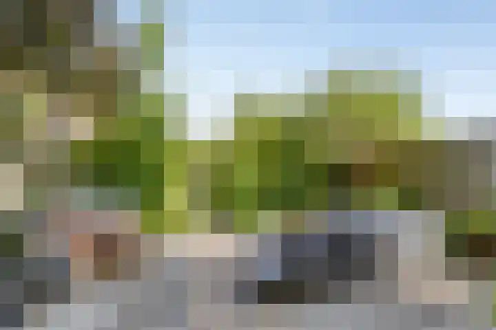 Kerkweg 114 Ridderkerk thumbnail 37