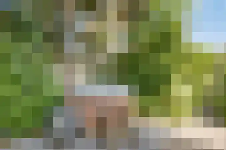 Kerkweg 114 Ridderkerk thumbnail 38