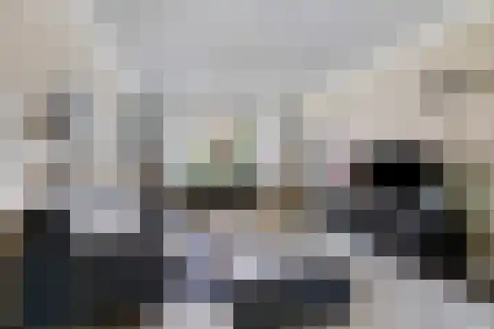 Kerkweg 114 Ridderkerk thumbnail 9