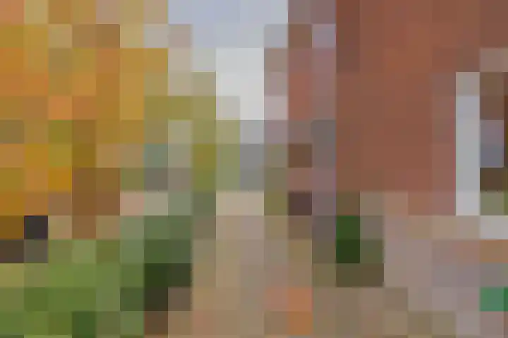 Kerkweg 117 Santpoort-Noord thumbnail 10