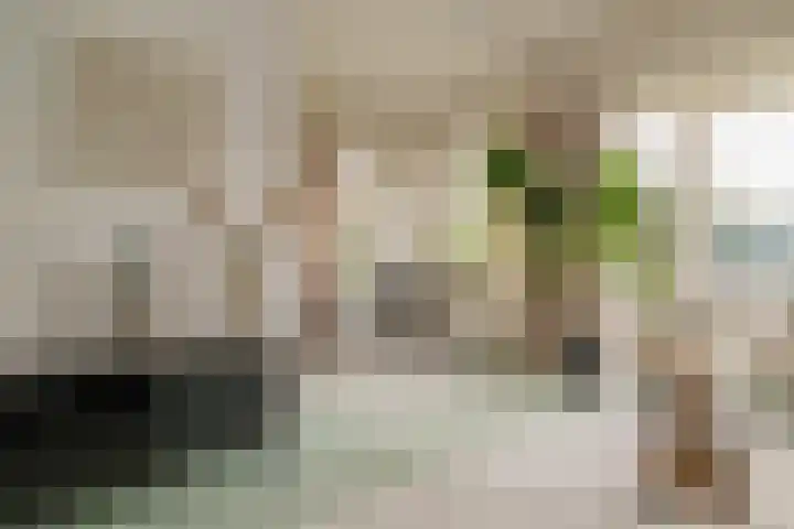 Kerkweg 117 Santpoort-Noord thumbnail 11