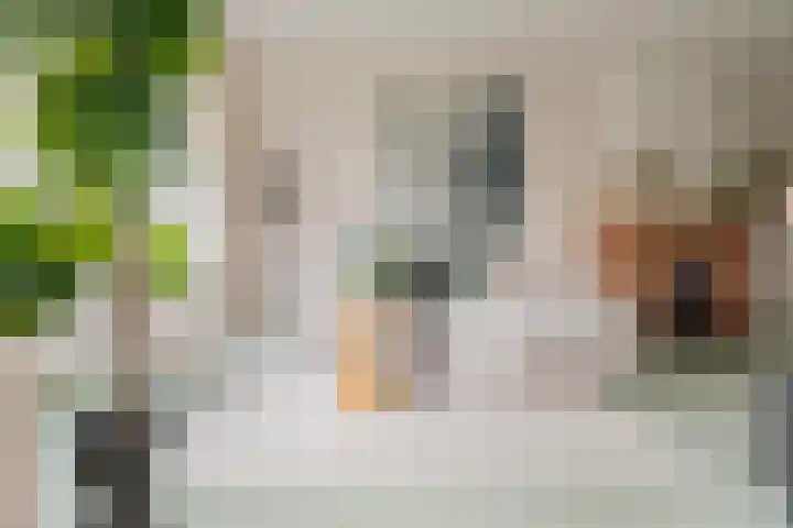 Kerkweg 117 Santpoort-Noord thumbnail 18