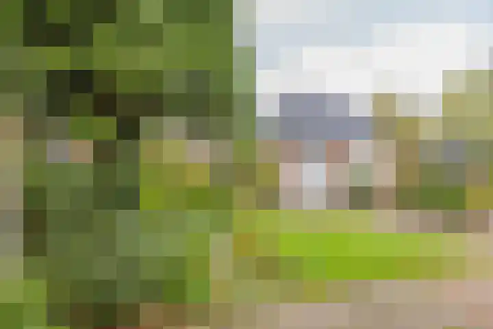 Kerkweg 117 Santpoort-Noord thumbnail 29
