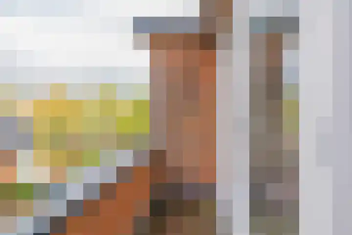 Kerkweg 117 Santpoort-Noord thumbnail 39