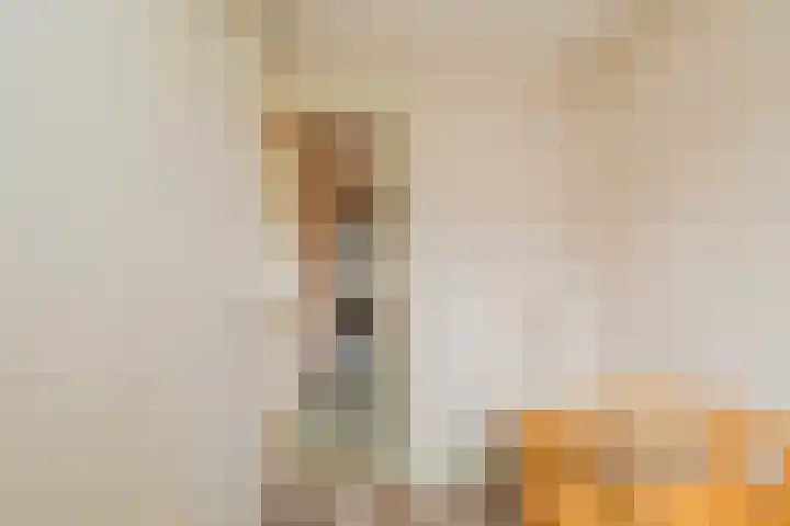 Kerkweg 117 Santpoort-Noord thumbnail 48