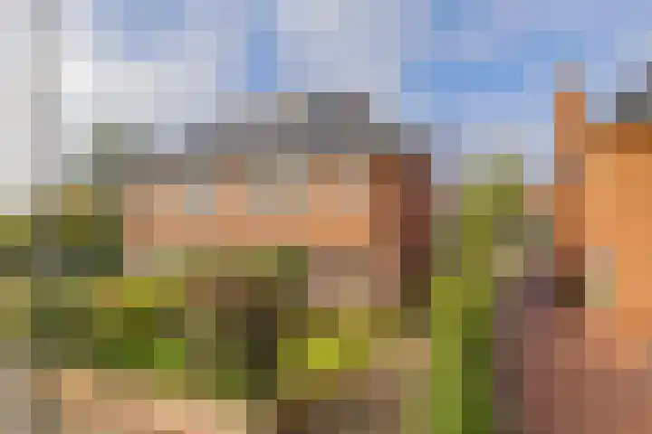 Kerkweg 117 Santpoort-Noord thumbnail 6