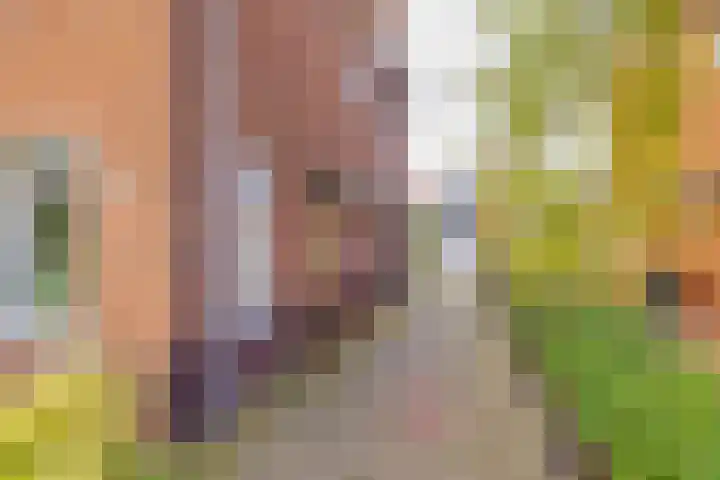 Kerkweg 117 Santpoort-Noord thumbnail 8