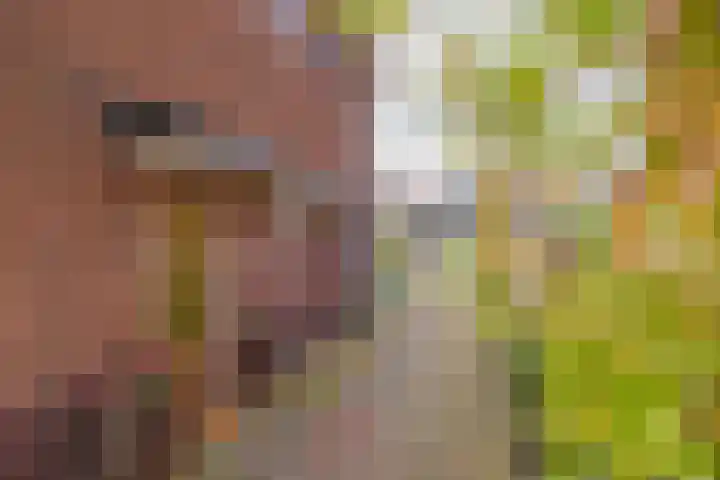 Kerkweg 117 Santpoort-Noord thumbnail 9