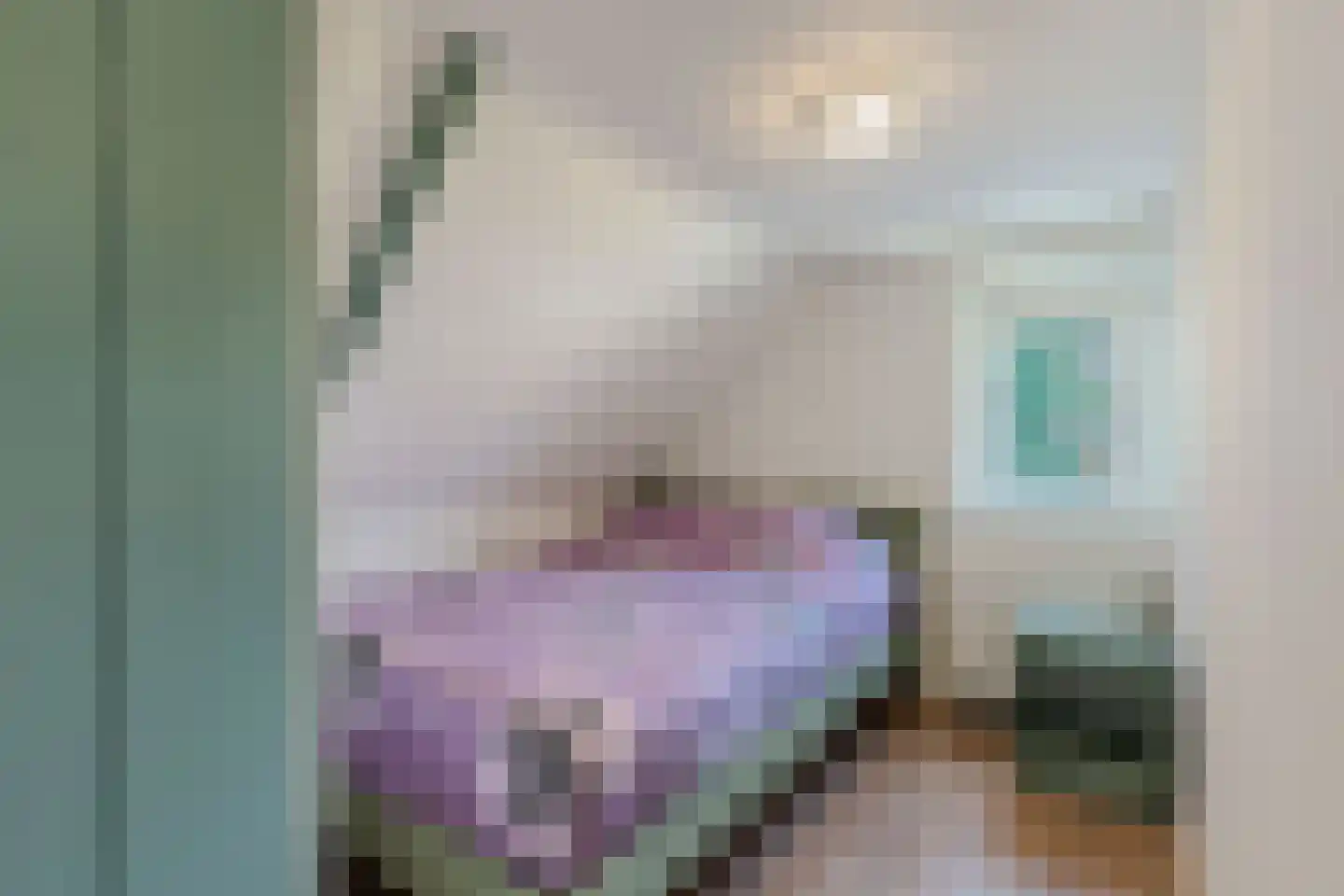 Kerkweg 12 Boijl thumbnail 31