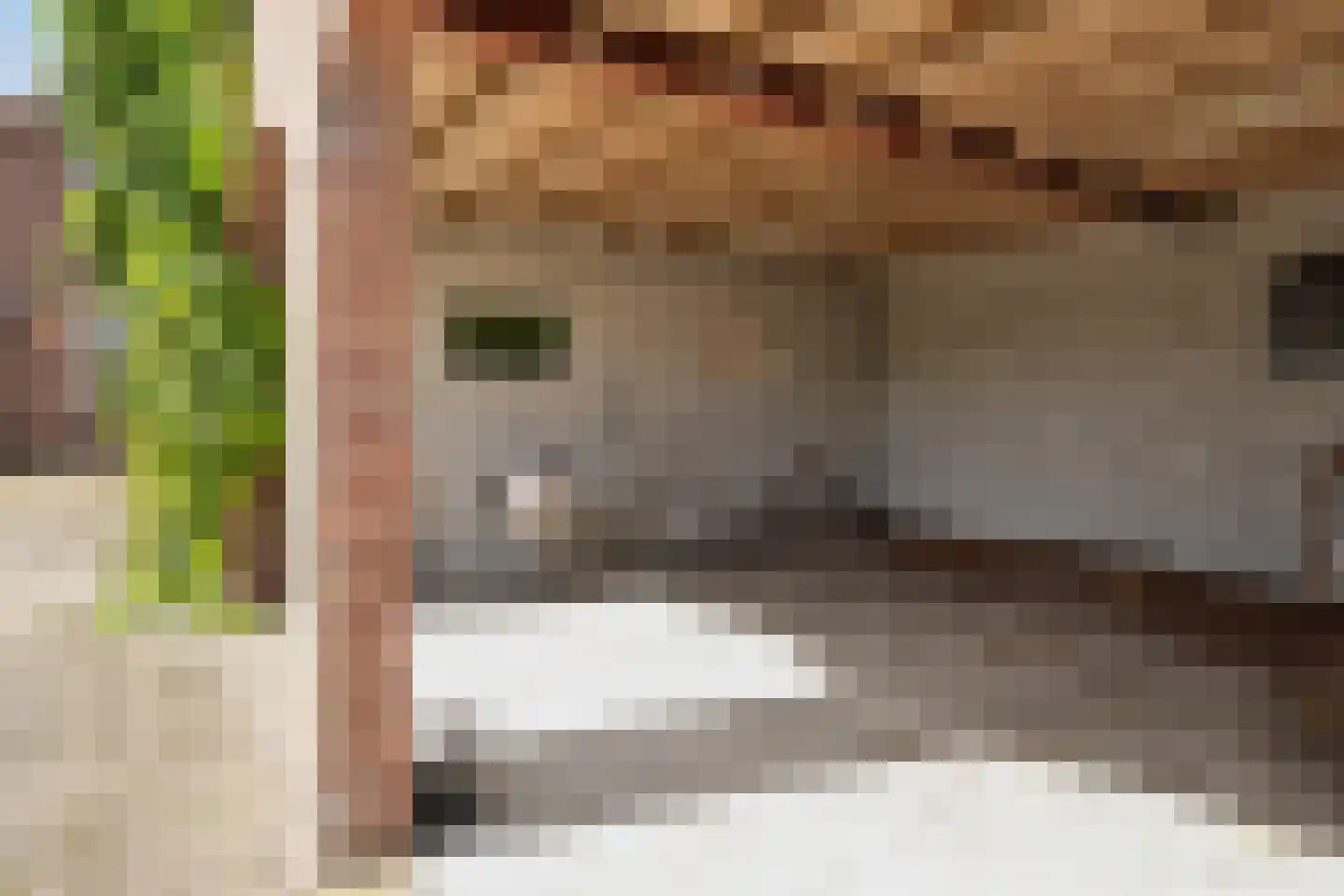 Kerkweg 12 Haaksbergen thumbnail 42