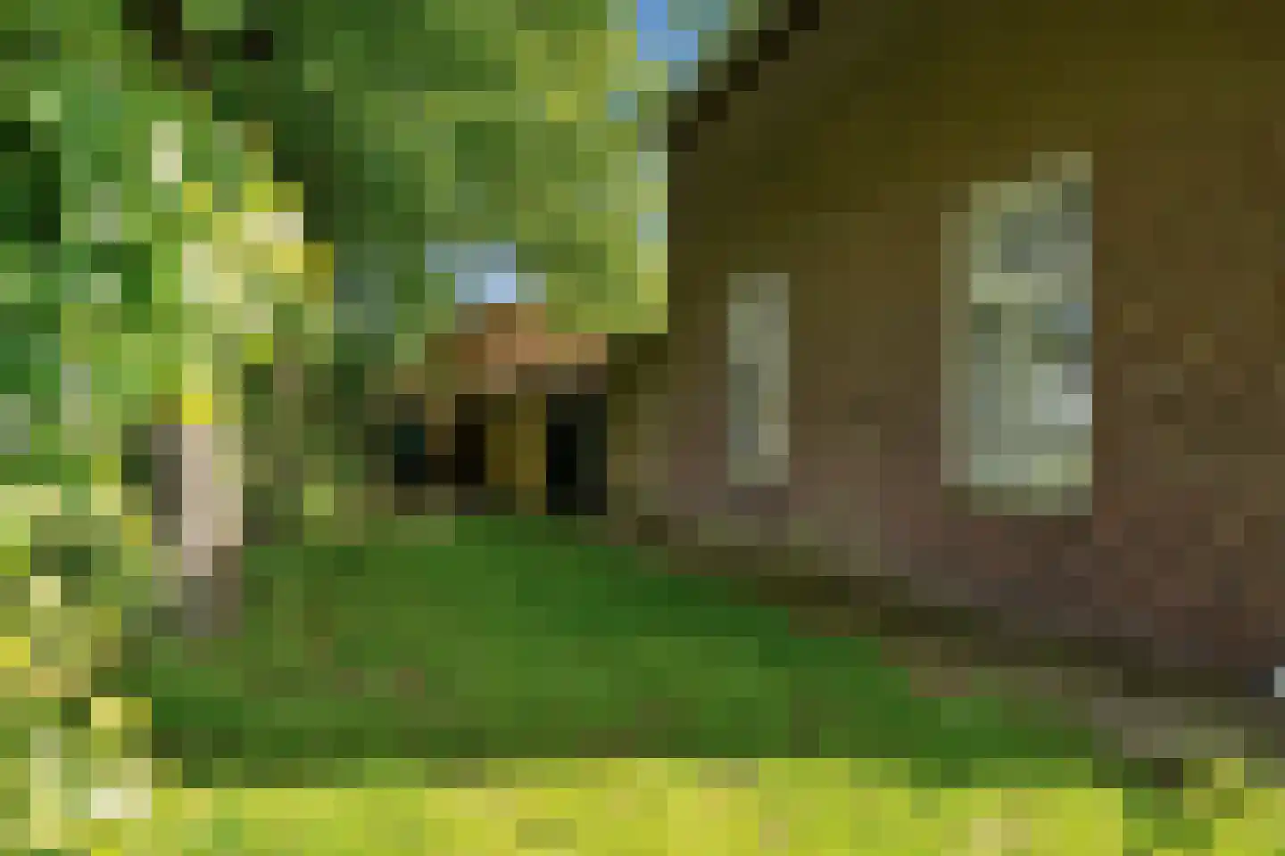 Kerkweg 12 Haaksbergen thumbnail 51