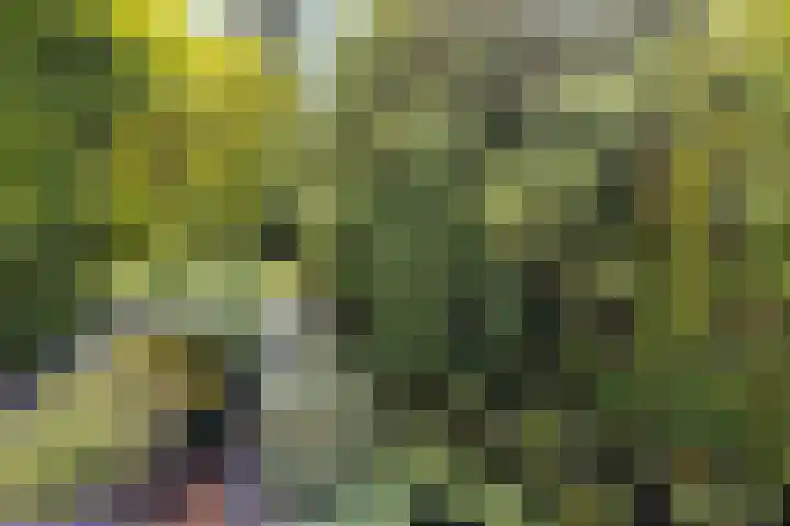 Kerkweg 12 Kockengen thumbnail 24