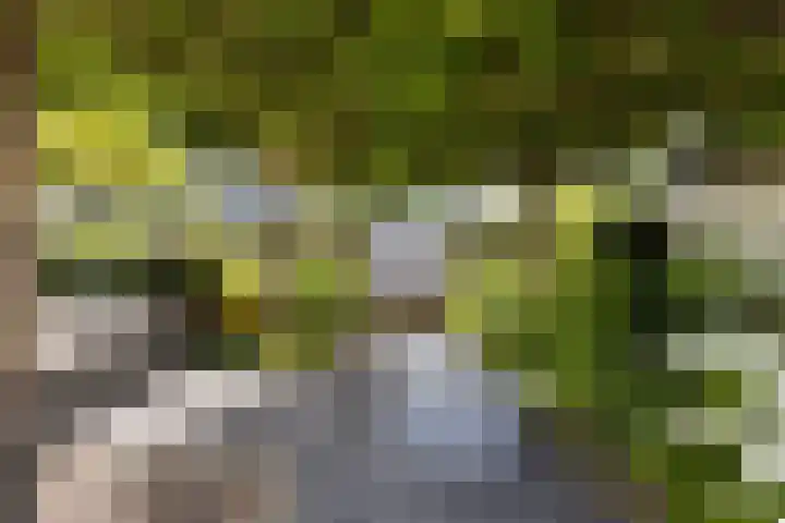 Kerkweg 12 Kockengen thumbnail 51