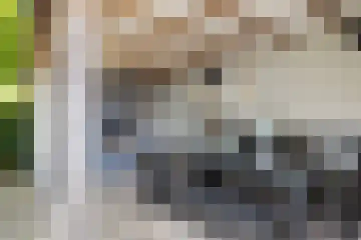 Kerkweg 12 Kockengen thumbnail 56