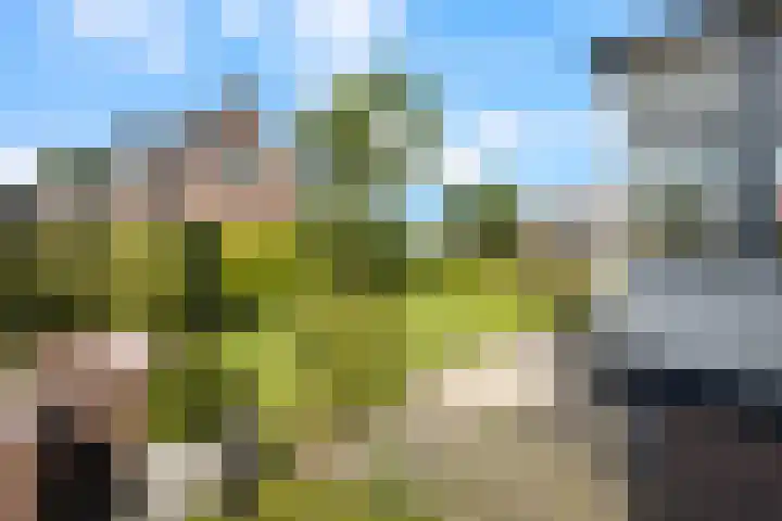 Kerkweg 12 Kockengen thumbnail 59