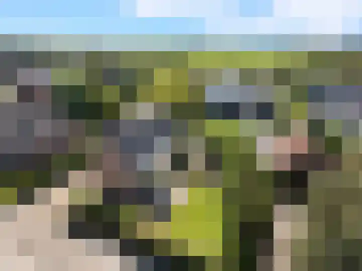 Kerkweg 12 Kockengen thumbnail 63