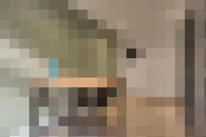 Kerkweg 12 Venhuizen thumbnail 29