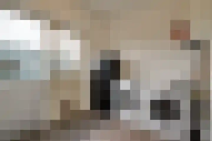 Kerkweg 12 Venhuizen thumbnail 32