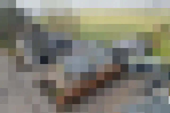 Kerkweg 12 Venhuizen thumbnail 36