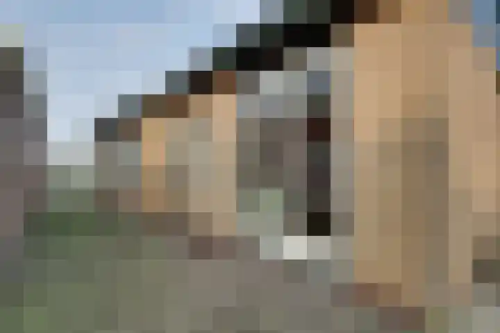 Kerkweg 12 Venhuizen thumbnail 37