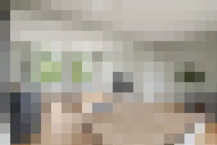 Kerkweg 12 Woubrugge thumbnail 12