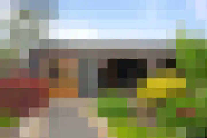 Kerkweg 12 Woubrugge thumbnail 24