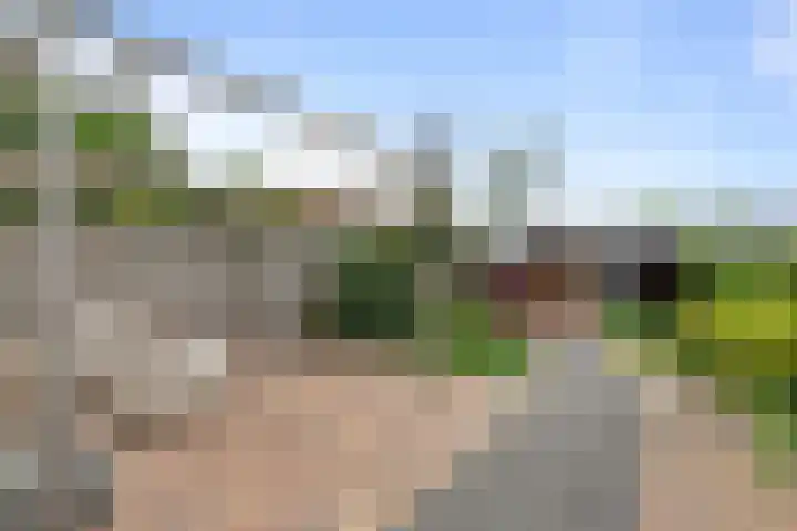 Kerkweg 12 Woubrugge thumbnail 34
