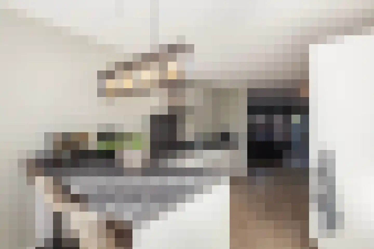 Kerkweg 126 f Ridderkerk thumbnail 13
