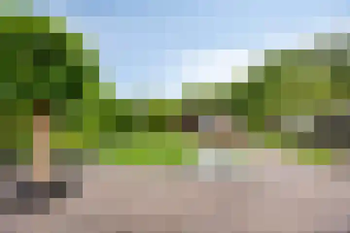Kerkweg 128 Erica thumbnail 13