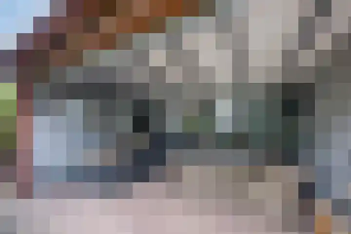Kerkweg 128 Erica thumbnail 15