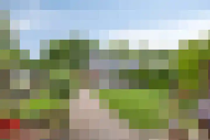 Kerkweg 128 Erica thumbnail 16
