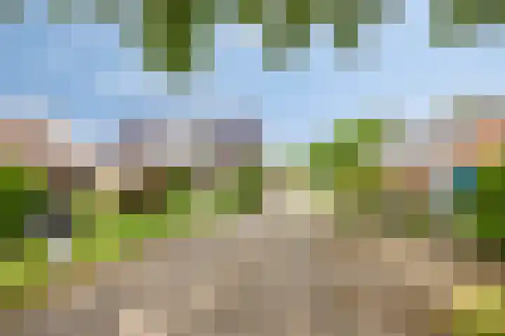 Kerkweg 128 Erica thumbnail 19
