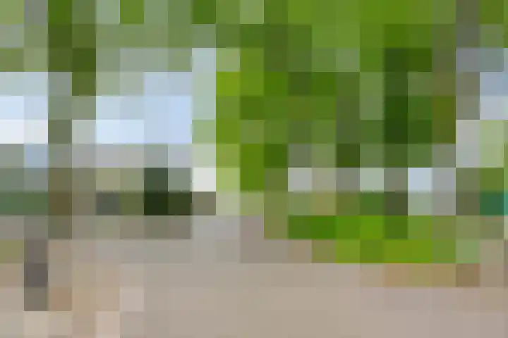 Kerkweg 128 Erica thumbnail 20