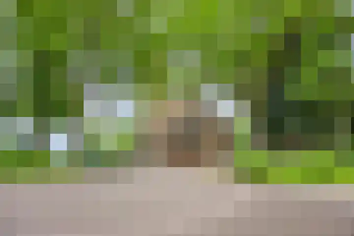 Kerkweg 128 Erica thumbnail 21